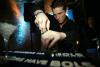 Patrick Kämmerer - Bols Master Battle 2007 
Category: Speedmixing